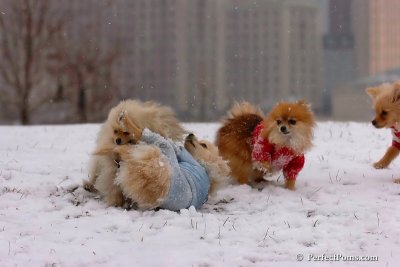 Jan22_08_069.jpg