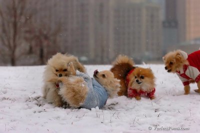 Jan22_08_070.jpg