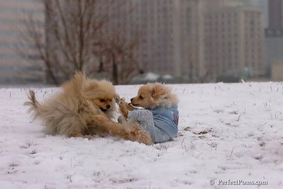 Jan22_08_073.jpg