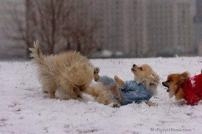 Jan22_08_074.JPG