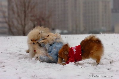 Jan22_08_076.jpg