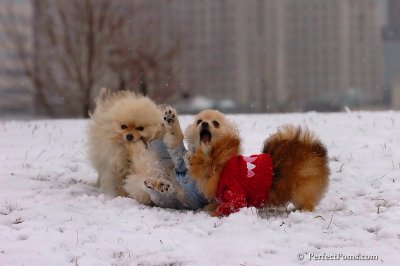 Jan22_08_077.jpg