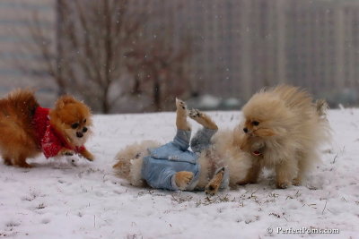 Jan22_08_078.jpg