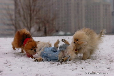 Jan22_08_080.jpg