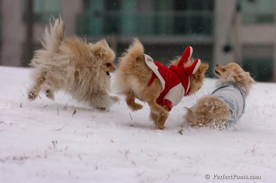 Jan22_08_100.JPG