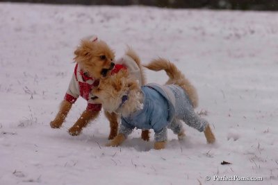 Jan22_08_102.jpg