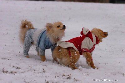 Jan22_08_107.jpg