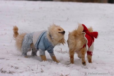Jan22_08_109.jpg