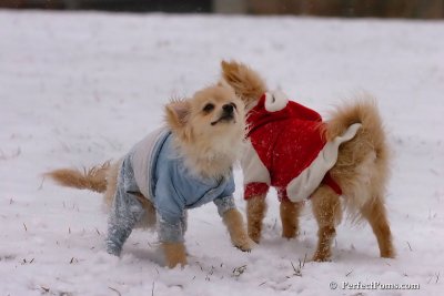 Jan22_08_110.jpg