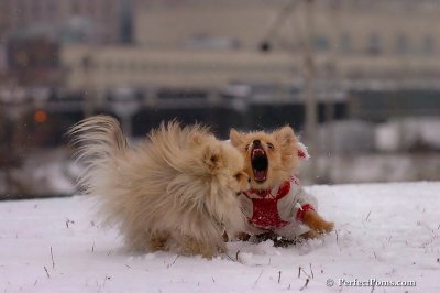 Jan22_08_113.jpg