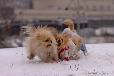 Jan22_08_114.jpg