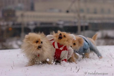 Jan22_08_115.jpg