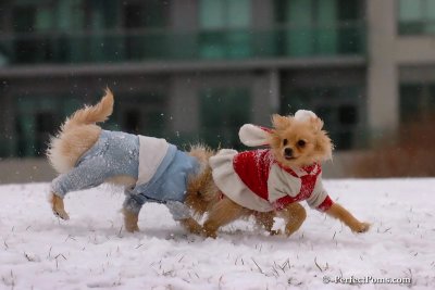 Jan22_08_118.jpg