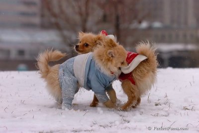 Jan22_08_125.jpg