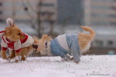 Jan22_08_126.jpg