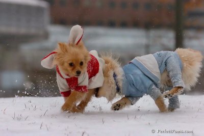 Jan22_08_127.jpg