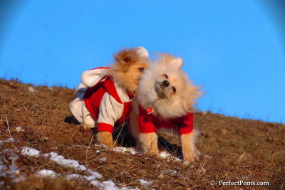 Jan24_08_509.jpg