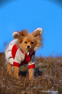 Jan24_08_281.JPG