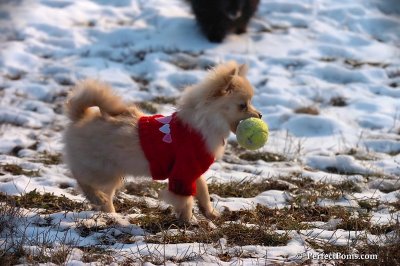 Jan24_08_282.jpg
