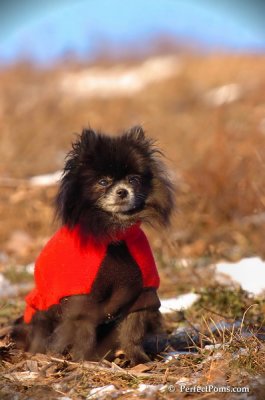Jan24_08_285.JPG