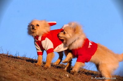 Jan24_08_289.JPG