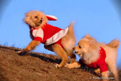 Jan24_08_291.jpg
