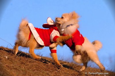 Jan24_08_292.jpg