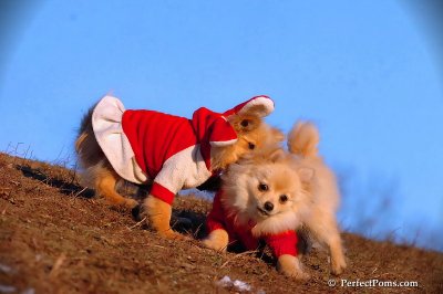 Jan24_08_293.jpg