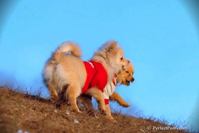 Jan24_08_294.jpg