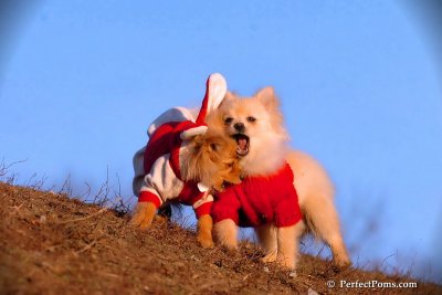 Jan24_08_300.jpg