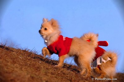 Jan24_08_302.jpg