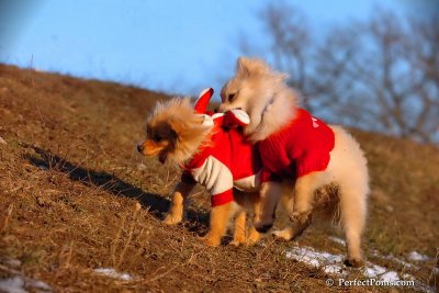 Jan24_08_309.jpg