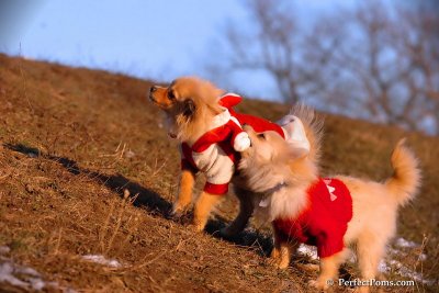 Jan24_08_310.jpg
