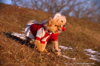 Jan24_08_315.jpg
