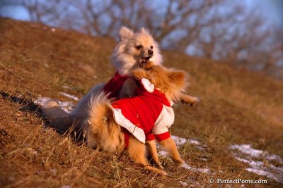 Jan24_08_316.jpg