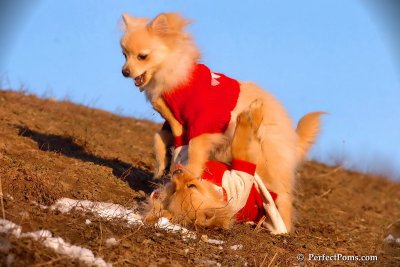 Jan24_08_321.jpg