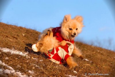 Jan24_08_324.jpg