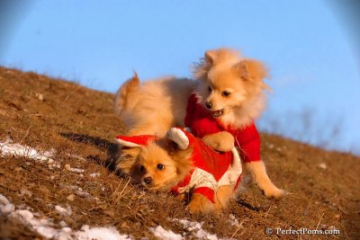 Jan24_08_325.jpg