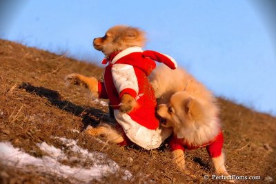 Jan24_08_327.jpg