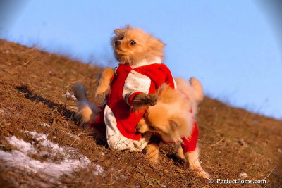 Jan24_08_328.jpg