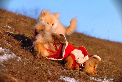 Jan24_08_329.jpg