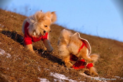 Jan24_08_330.jpg