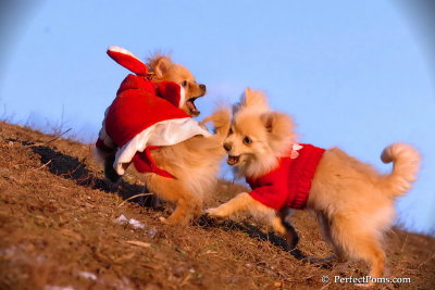 Jan24_08_332.jpg