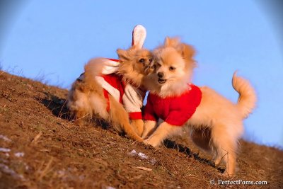 Jan24_08_333.jpg