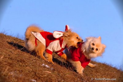 Jan24_08_335.jpg