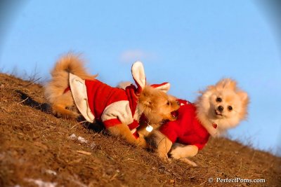 Jan24_08_336.jpg