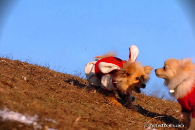 Jan24_08_341.jpg