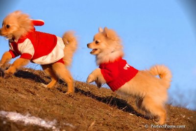 Jan24_08_344.jpg
