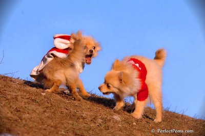 Jan24_08_346.jpg