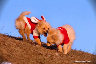 Jan24_08_347.jpg